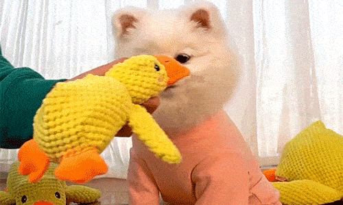 files/8.gif