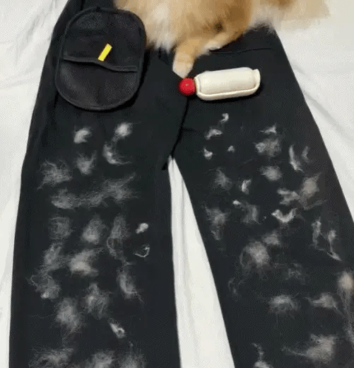 Pawsiva FurAway™ Pet Hair Remover Glove