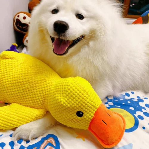Pawsiva QuackBuddy™ Best Calming Squeaky Duck Dog Toy for Anxious Dogs - Pawsiva
