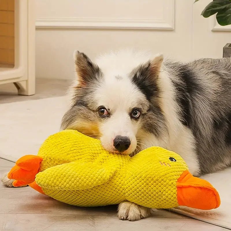 QuackBuddy™ — The Squeaky Toy Dogs Can't Put Down - Pawsiva